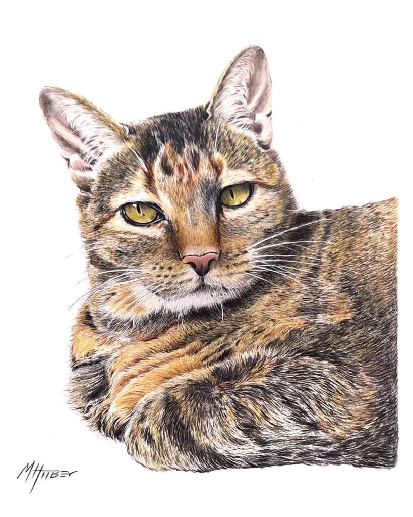 desenho-realista-de-um-gato-feito-pelo-desenhista-e-tatuador-mauricio-huber-ilustrando-a-grande-oportunidade-de-vender-desenhos.