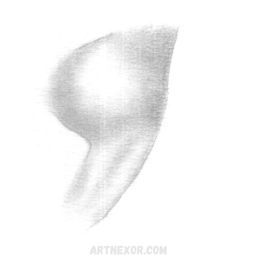 41