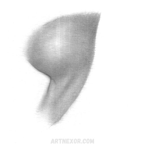 43