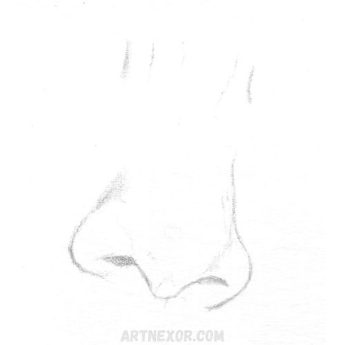 44
